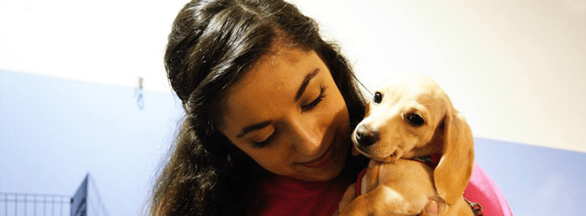 About Chelsea and Zen Dog