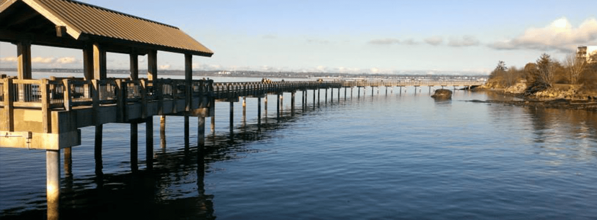 Contact Chelsea in Bellingham